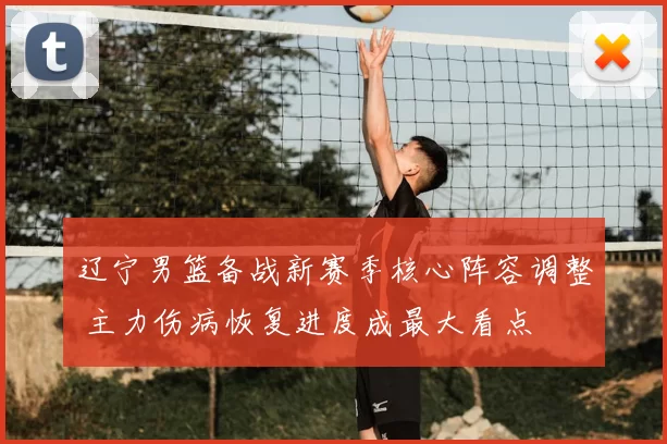 辽宁男篮备战新赛季核心阵容调整 主力伤病恢复进度成最大看点