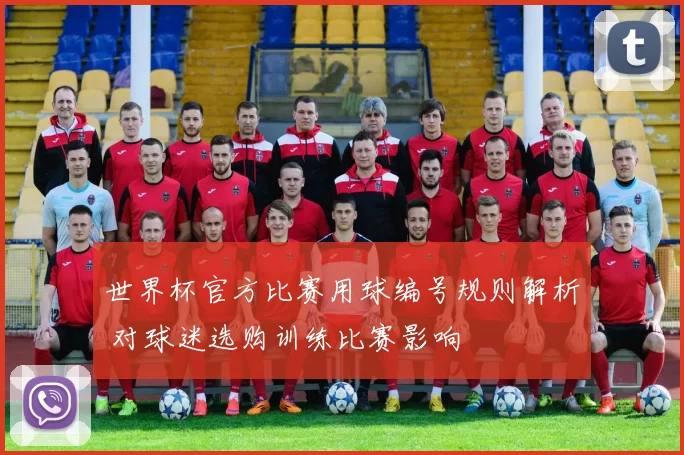 世界杯官方比赛用球编号规则解析 对球迷选购训练比赛影响
