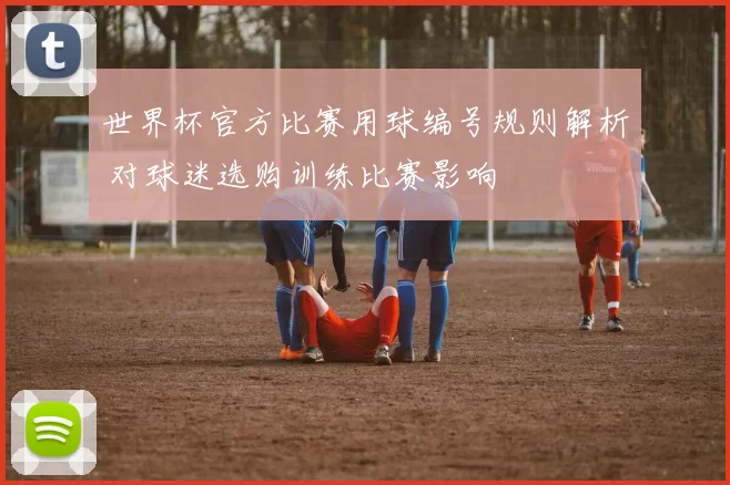 世界杯官方比赛用球编号规则解析 对球迷选购训练比赛影响