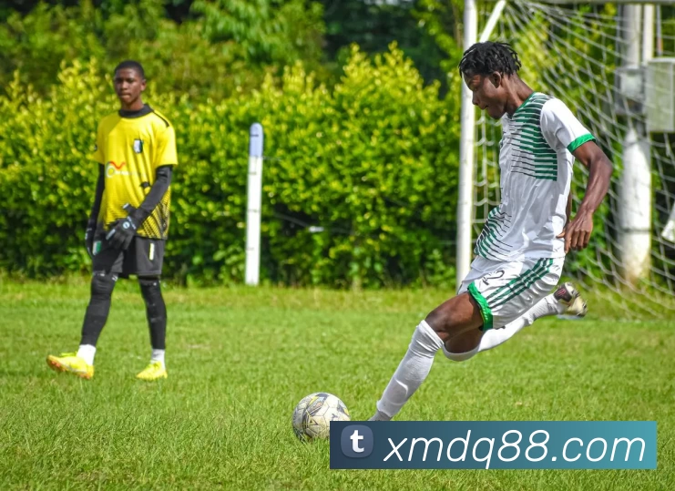 米乐网页版 - 米乐(中国)品牌故事