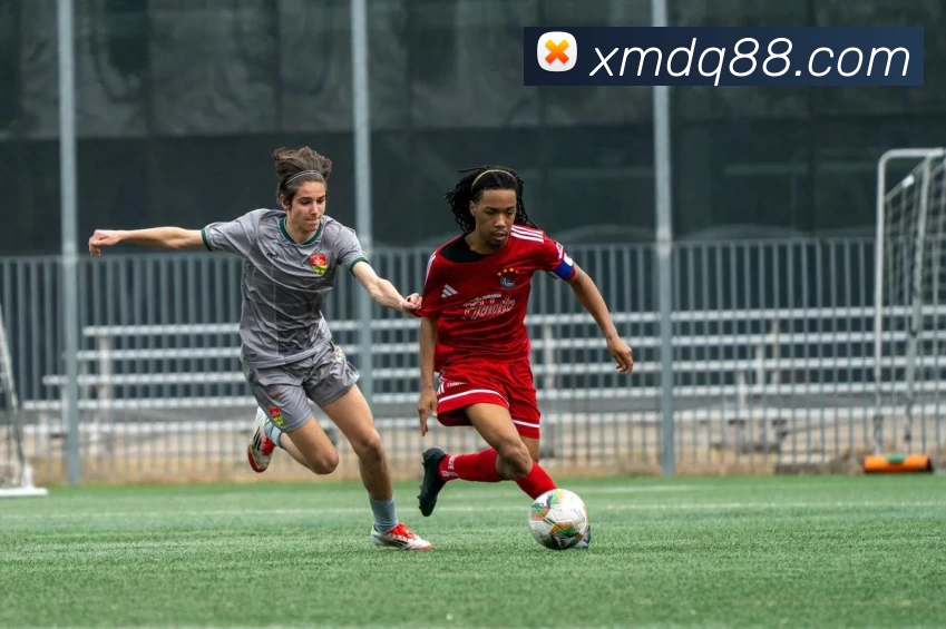 米乐网页版 - 米乐(中国)服务体系